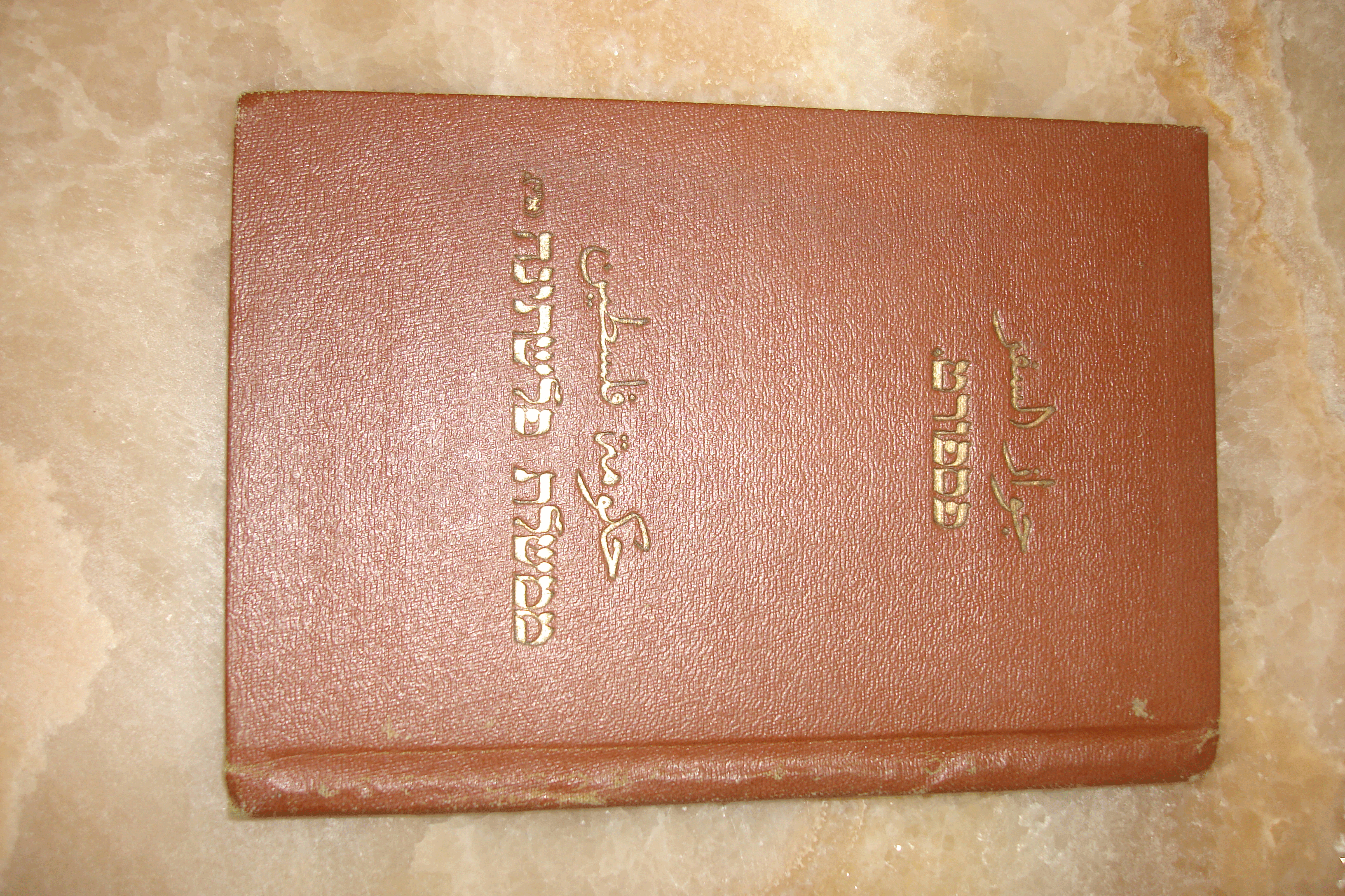Sacca Passport, Copyright Paths of Exile