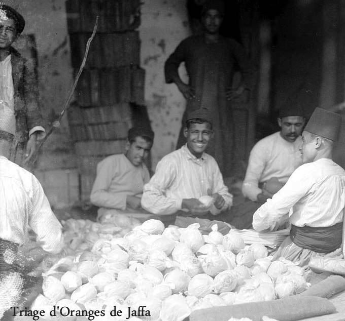 Sorting oranges, Copyright Paths of Exile