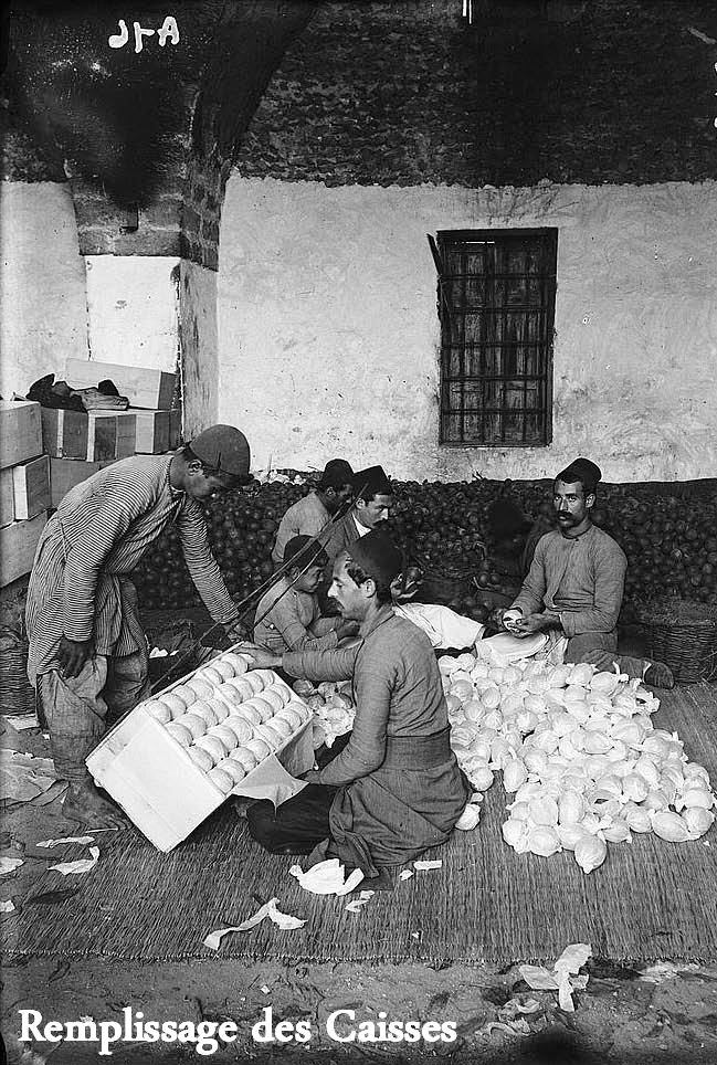 Packing, Copyright Paths of Exile