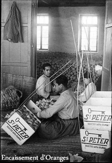 Packing for export, Copyright Paths of Exile