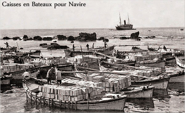 Transfer of crates from boats onto ships, Copyright Paths of Exile