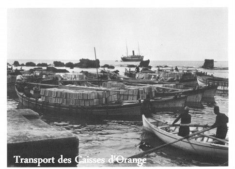 Transport of crates, Copyright Paths of Exile