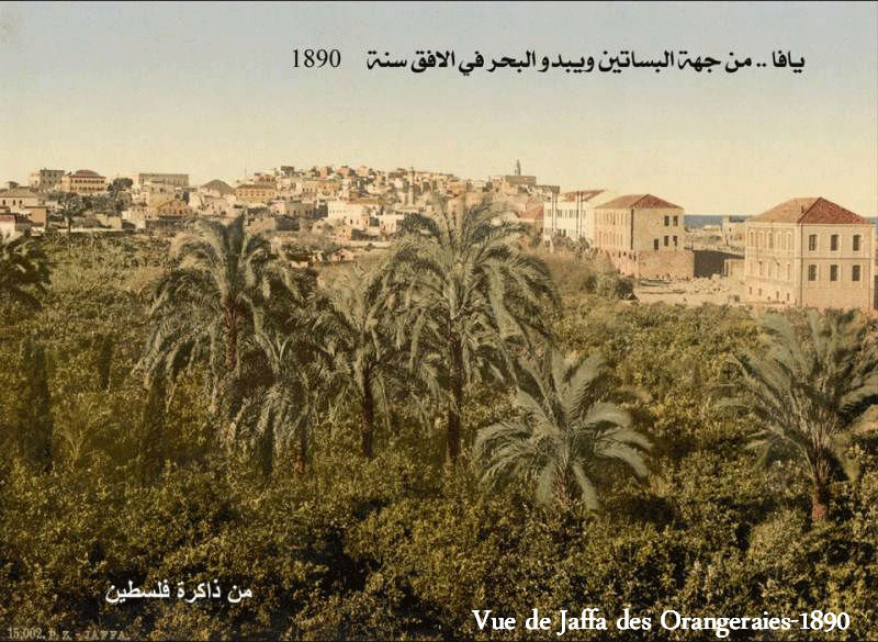 Landview of Jaffa 1890, Copyright Paths of Exile