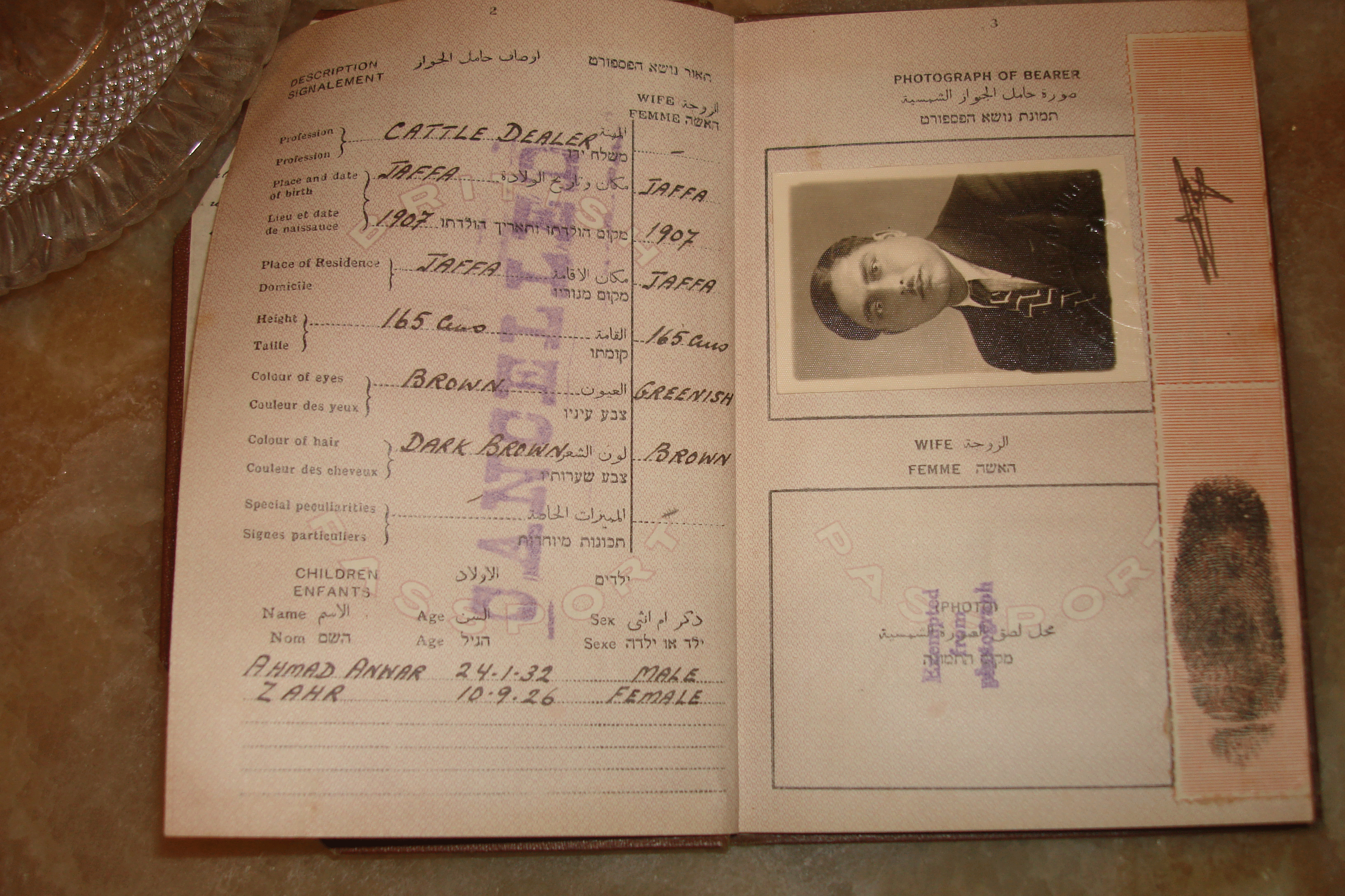 Sacca Passport, Copyright Paths of Exile